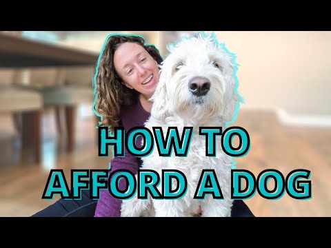 Can I afford a dog Canada?