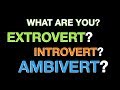 Are you An Extrovert, Introvert or Ambivert?  Take The Test And Find Out Your Personality Traits