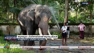 ആനയുടെ ചികിത്സക്കായി വിദേശത്ത് നിന്ന് മരുന്ന് എത്തിച്ച് നാട്ടുകാരും ആനപ്രേമികളും | Elephant Medicine