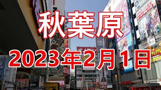 ガンダム顔で秋葉原を散歩したら大変なことに 2023年2月1日 Akihabara walk