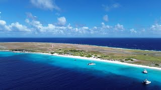 The BEST BEACH In The Caribbean | Klein Curacao Trip with BlueFinn Charters