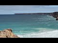 head of the bight whale watching walk july 2024