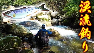 久しぶりの沢登りで渓流の女王をルアーで狙う！