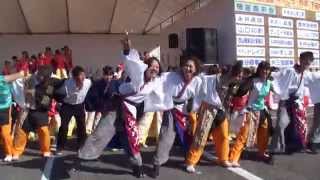 伊澤屋　総踊り　えっさホイ小唄　2014川東ひかりまつり