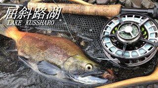 【屈斜路湖】初釣行　ニジマス釣りたい！！　だけど　ヒメマス釣れまくり！！