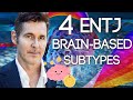 4 ENTJ Subtypes: Neuroscience Explained by Dario Nardi (Dominant Creative Normalizing Harmonizing)