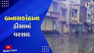 Gujarat Rain News: બનાસકાંઠાના ડીસામાં વરસાદ | Monsoon 2023 | Rainfall | Cyclone | Gujarat News