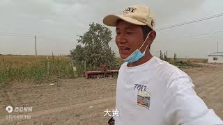 骑行315沙漠公路很轻松，骑91公里来到别墅炒豆角吃，这就是生活