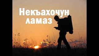 Некъахочун ламаз | 10 дакъа | Абу Малик