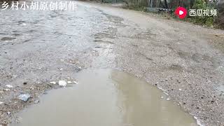 河南南阳旱了一个多月终于下雨了，农村小伙冒雨去看地里的墒怎样