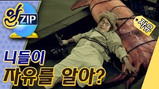 [유시민의 알릴레오 41회 알집] 니들이 자유를 알아?