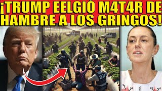 GRINGOS VAN A ROGAR POR TREMENDO ERROR DE TRUMP! COMIENZAN REDADAS DE MEXICANOS! TODO SE PARALIZA!