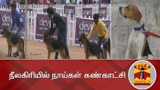 கோடை விடுமுறை : நீலகிரியில் நாய்கள் கண்காட்சி | Dog Show | Nilgiris