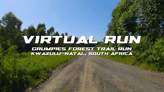 Virtual Run: Grumpies Forest Trail Run, KwaZulu-Natal, South Africa | Treadmill Running Scenery