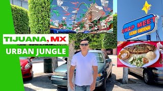 Tijuana, Mexico: Exploration and Hidden Food Gem