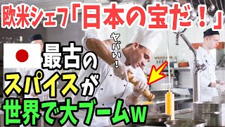 【海外の反応】「何だ！この香りは⁉︎」欧米シェフたちの食の価値観崩壊！イギリス人が日本のスパイスに出会った結果w【日本のあれこれ】