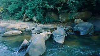 Barijong picnic spot at Dadenggre