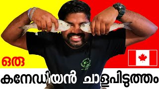 Fishing in Canada Malayalam കാനഡയിലെ ഗാസ്പെരിയോ മീൻപിടുത്തം | മീനിന്റെ ചാകര  Gaspereau fishing