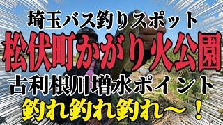 【バス釣り】埼玉バス釣りスポット！松伏町かがり火公園！古利根川系増水バージョン挑戦！