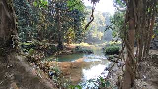 อุทยานแห่งชาติดอยภูนาง น้ำตกในอุทยาน