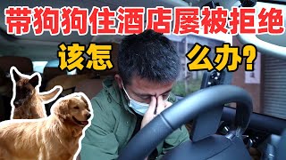 TravelChina Vlog |  I'm Tired after a Long Trip, But Hotels Forbidden Dogs into Their Room