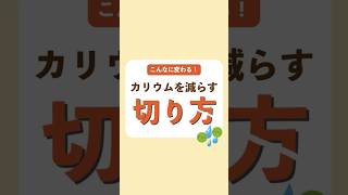 【こんなに変わる】水に溶けやすいカリウムを減らす切り方#慢性腎臓病 #カリウム#食事療法 #shorts