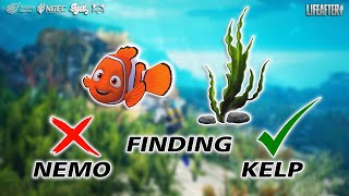 LifeAfter - How to 😏Finding Nemo❌ Finding Kelp ✅ ? Let's cook 🥗