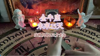 金牛座，未来15天，感情纠葛\u0026三方走向 #塔罗测试 #金牛座 #三方关系