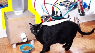 Cat Feeder Doorbell Mobile Phone Controlled Arduino Project