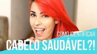 Como saber se o cabelo está SAUDÁVEL?!