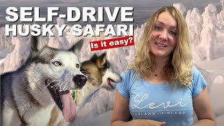 What Does a Self-Drive Husky Safari Look Like?