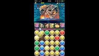 【パズドラ攻略】紅の海賊龍　紅の海窟　地獄級　ノーコン攻略【光メタトロンパ】