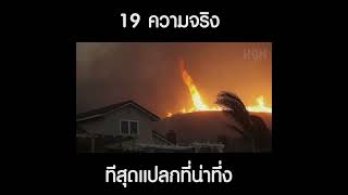 ลมพายุสามารถพัดไฟให้อยู่ในตัวเองได้ #เรื่องแปลก #สาระ #เรื่องเล่า#ที่สุดในโลก#shorts