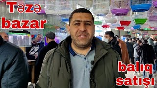 Təzə bazar balıq satışı 20 fevral 22  @mubarizemintv2271 #mubarizemintv