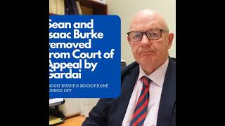 Sean and Isaac Burke removed by Gardai from Court of Appeal in GSOC application | Enoch Burke mut...