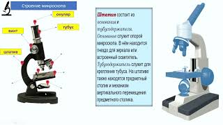 Строение микроскопа