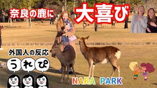 【外国人の反応】🤣アクションが笑える‼️奈良の鹿に大喜びNARA   PARK