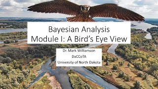 Bayesian Analysis Module I: A Bird's Eye View