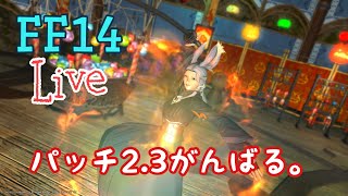 FF14　初見！クリスタルタワーに挑戦してみます！　ネタバレあり