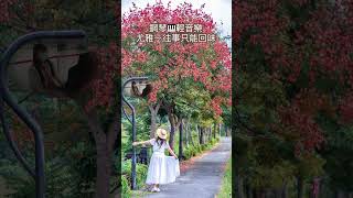 尤雅～往事只能回味❤️鋼琴演奏🎹國語老歌輕音樂《醫院鋼琴志工》