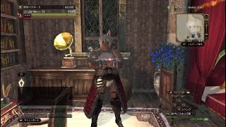 [DDON] #47 限界域の黒竜をかんたんにクリアする方法