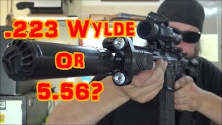 Is 223 Wylde Better Than 5.56?