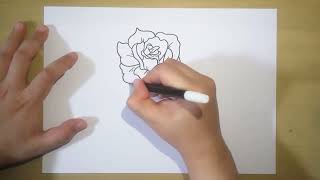 How to Draw a Rose In 6 Minutes Easy Step by Step For Beginners | Drawing Turorial