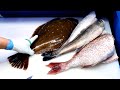 사시미 회뜨기 FISH CUTTING SASHIMI SEAFOOD  - Korean food