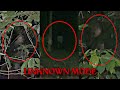 PUAKA UNKNOWN GARDEN - HANTU MUKA NENEK TUA MENJELMA | Paranormal DZP Dauz | Jin Putih Badan Separuh