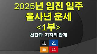 2025년 임진 일주 을사년 운세 1부