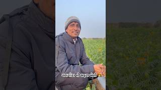 ચોળી અને ગલગોટા ની સફળ ખેતી#shorts #vairalvideo #farming