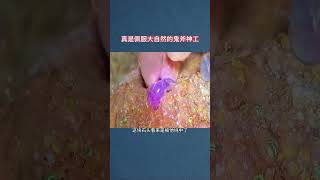 真佩服大自然的鬼斧神工 #科普 #涨知识