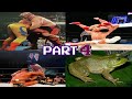 Innovated Wrestling Moves - PART 4