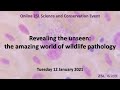 Revealing the unseen: the amazing world of wildlife pathology